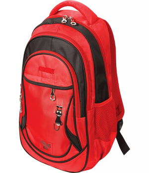Рюкзак подростковый ZiBi CAT, красный.